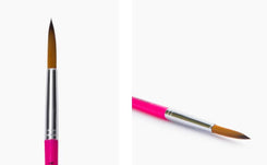 Camlin 2064779 - CAM CHAMP BRUSHES SERIES 64 (ROUND) - BRUSH SIZE:9 - SET OF 5 BRUSHES (Pink)