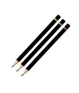 Camlin CHARCOAL PENCIL MEDIUM - PACK OF 10 Pencil (Black)